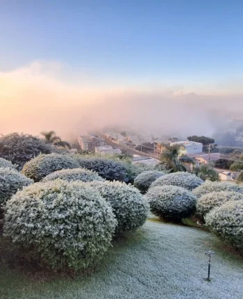 blog-1